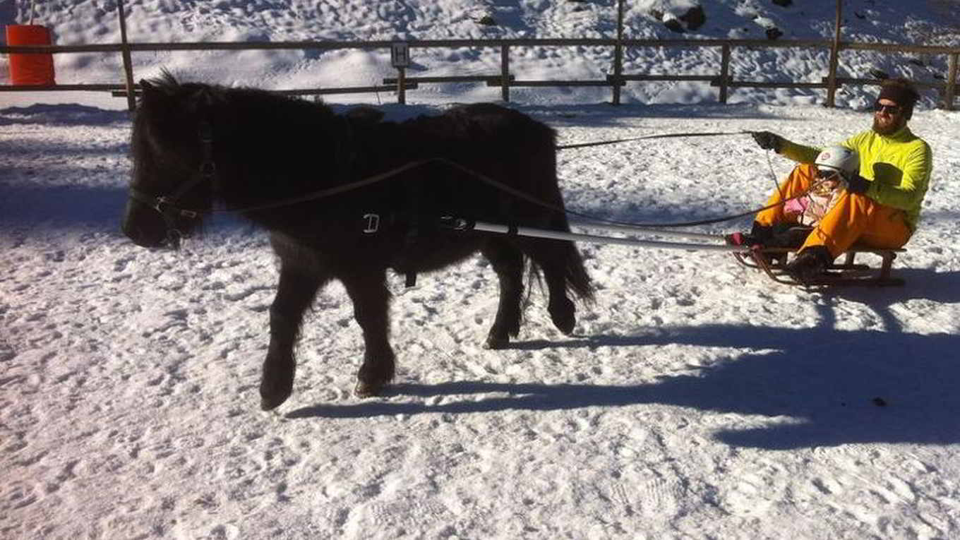 Photo of a sleigh ride behind a pony. A funny winter activity for kids in Méribel.